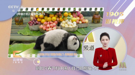 国产一区福利